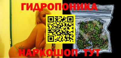 спиды Жуковский