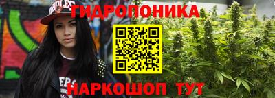 спиды Жуковский