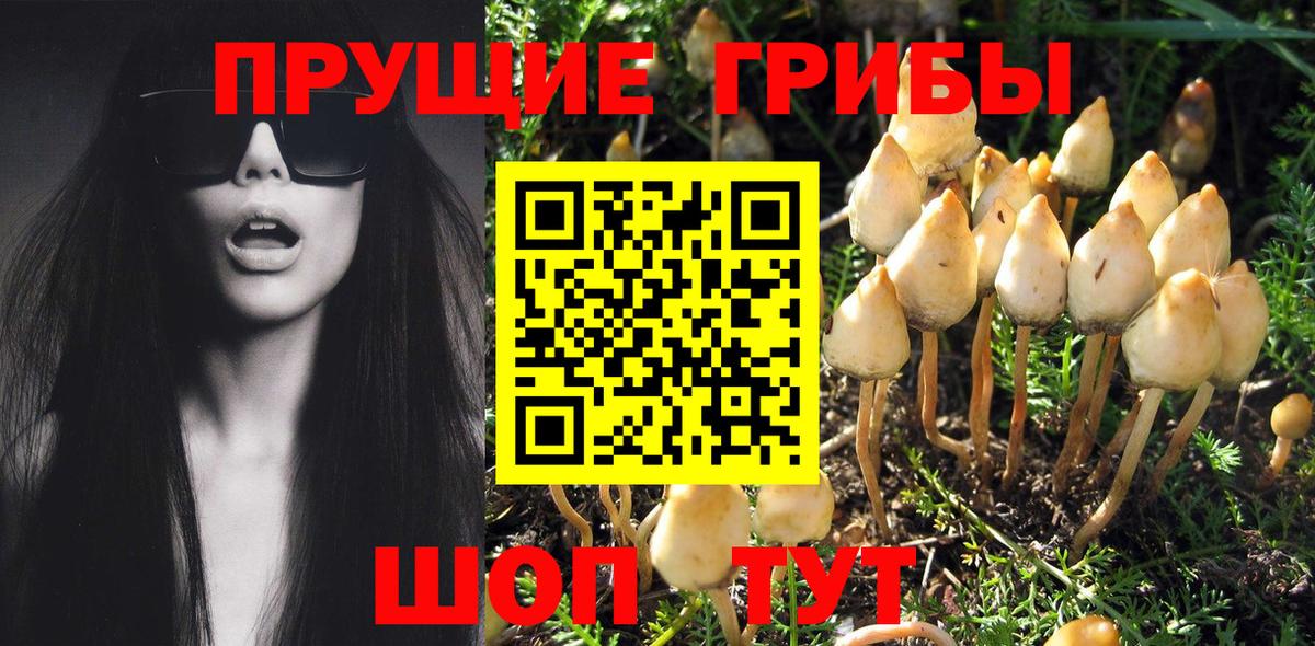 Псилоцибиновые грибы ЛСД  Вход с VPN  Ирбит 