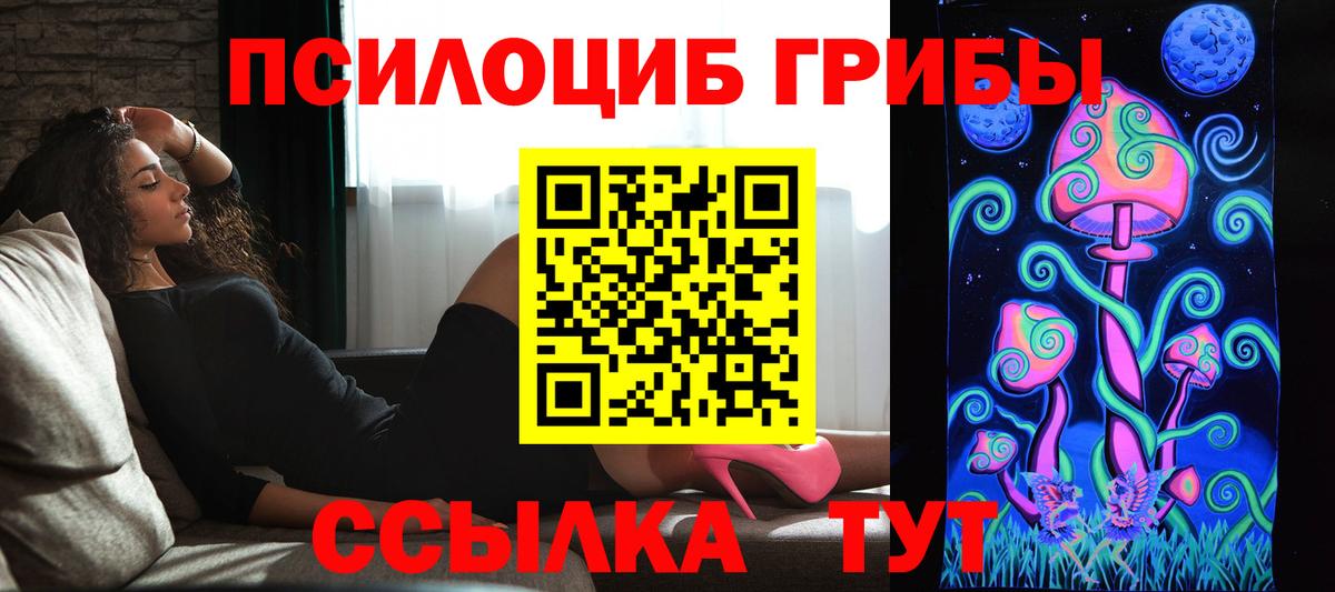 Галлюциногенные грибы Psilocybine cubensis Ирбит